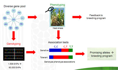 Laboratorio Ecofisiologia